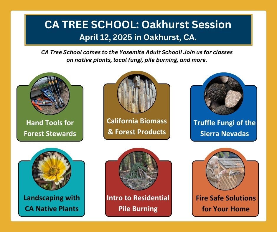 California Tree School- Oakhurst