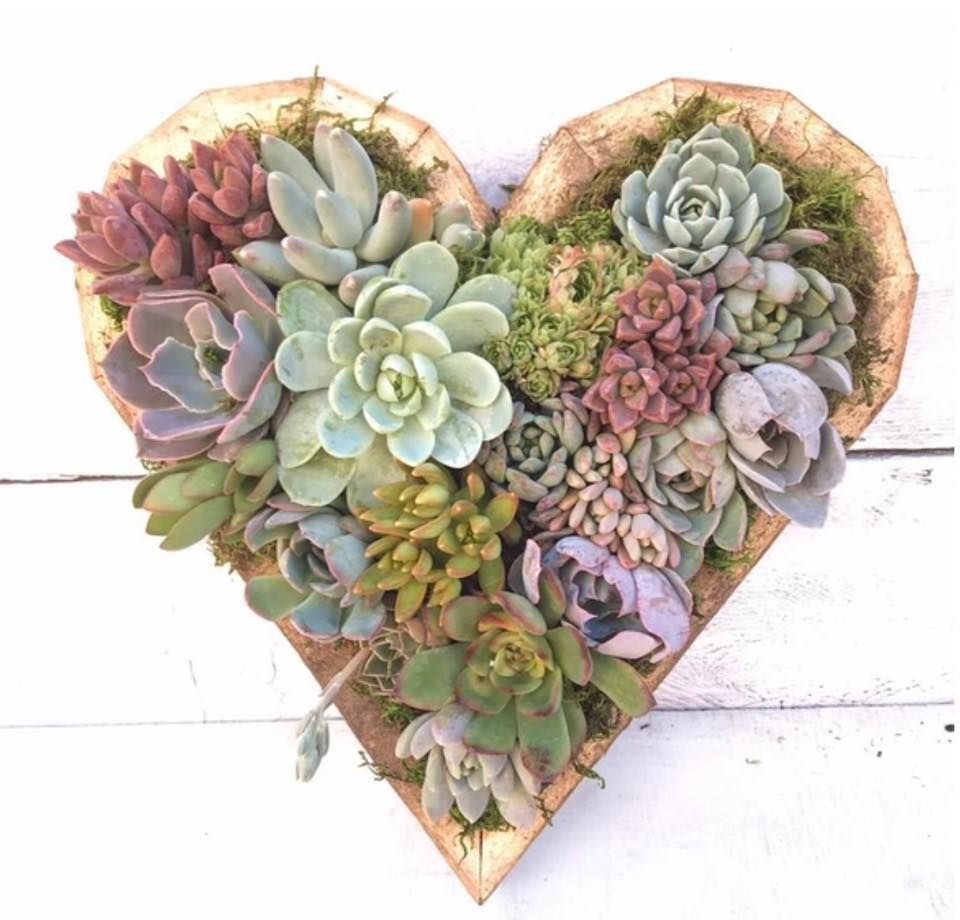 Wooden Heart Shaped Succulent Planter