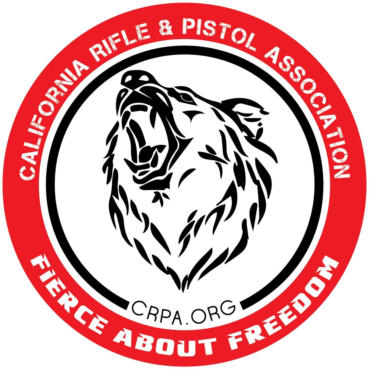 Pistol Shooting Basics Course \u2013 Vista, Ca.