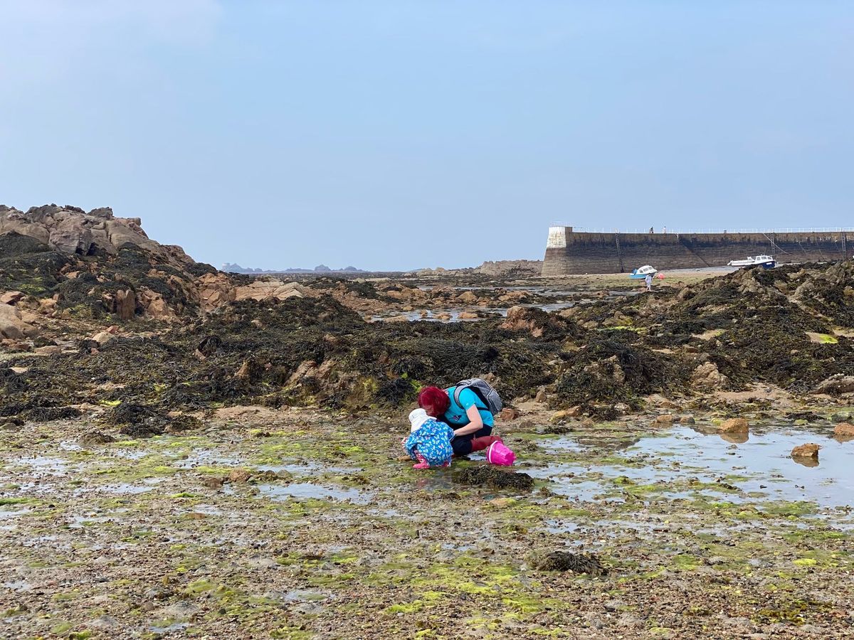 Rock pooling for all the family 