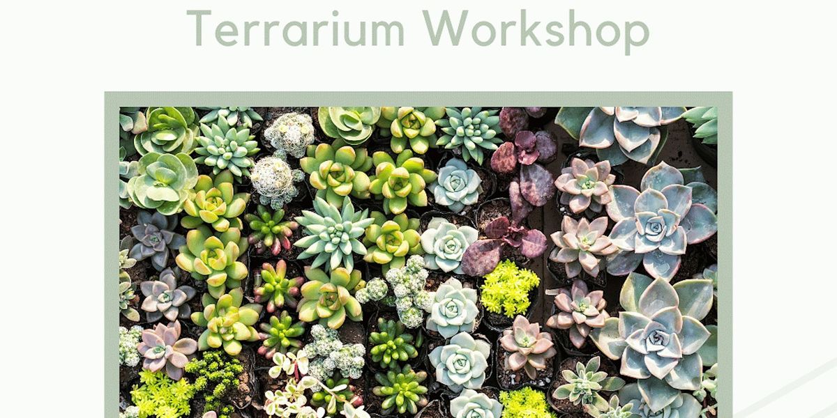 Terrarium Workshop