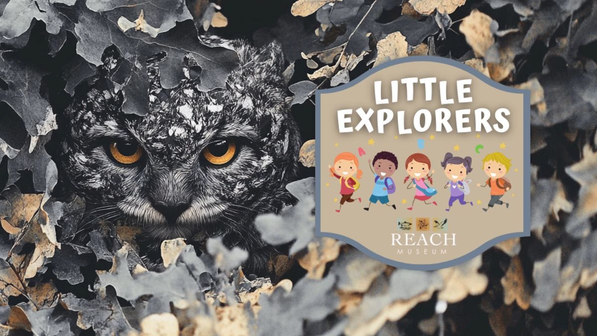 Little Explorers: Camouflage