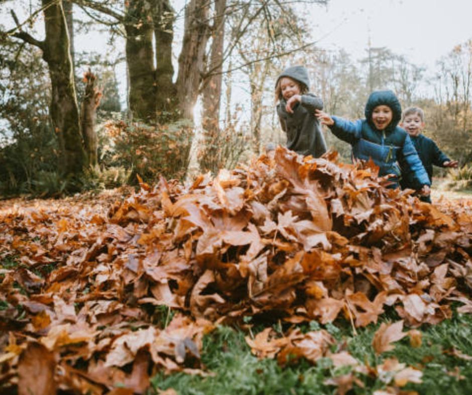 Halloween Nature club for over 5s