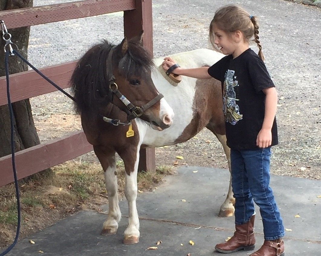 TCTC's Summer Pony Care Camps (one day camp)