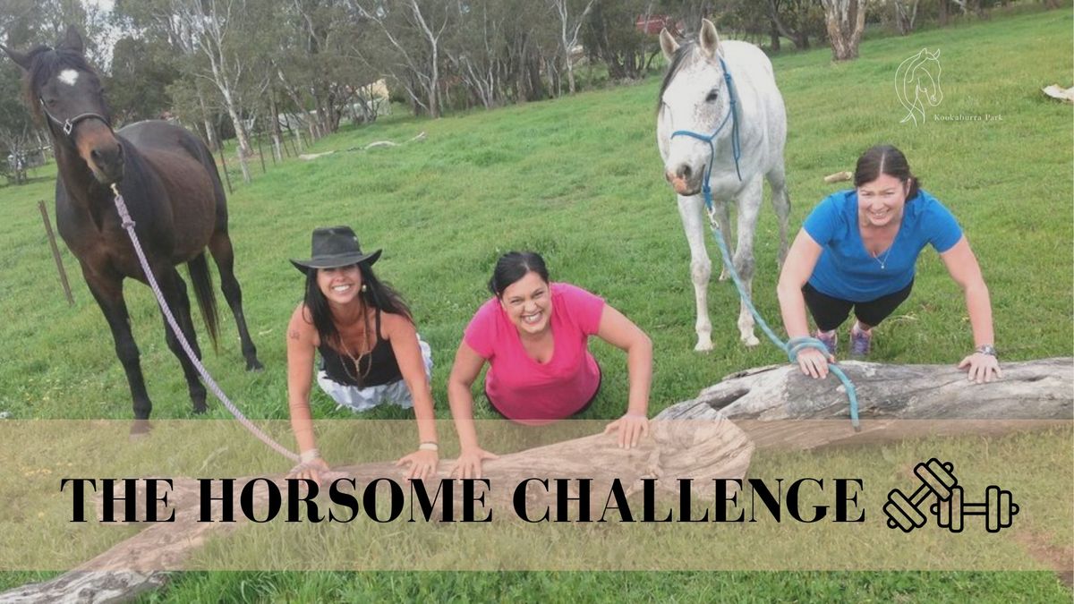 Come Try Day: The Horsome Challenge