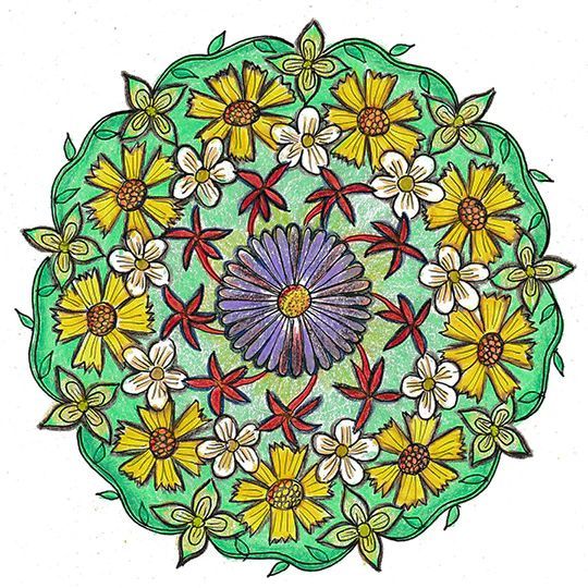 Colorado Wildflower Mandala Art Class