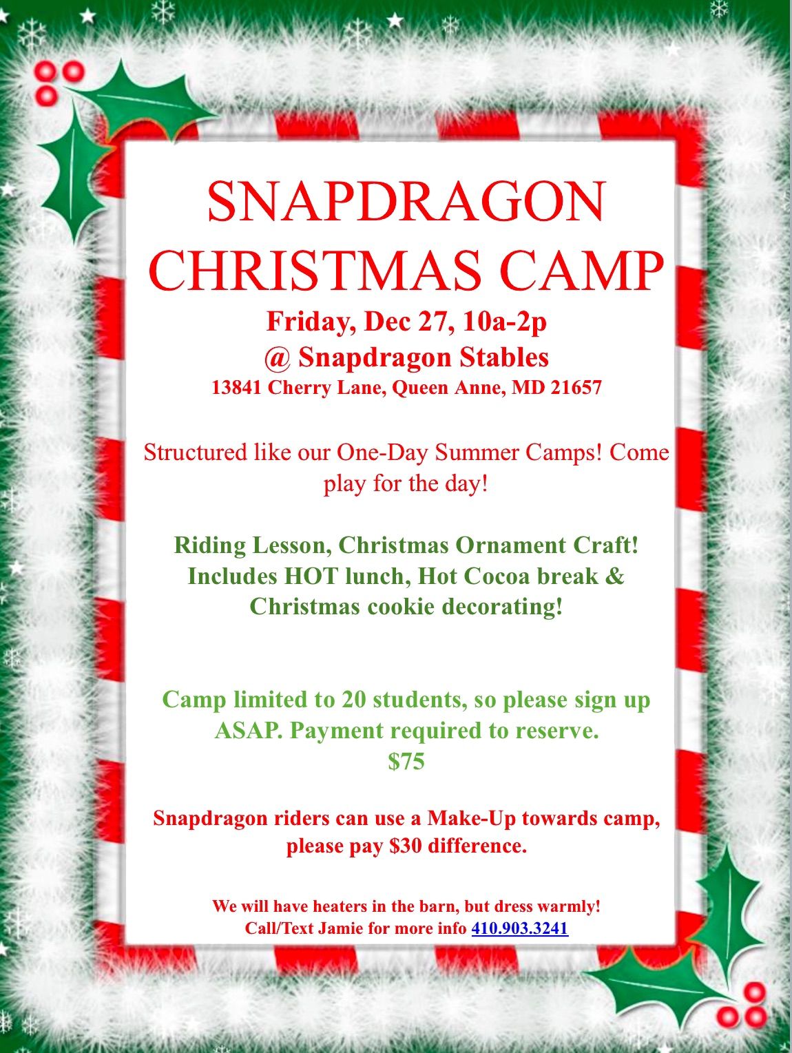 Snapdragon Christmas Camp