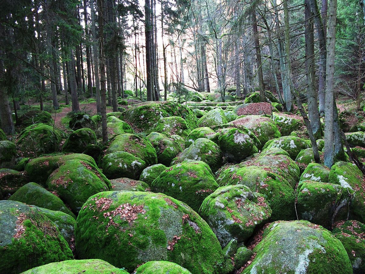 Wanderung \u00fcber den Findlingsweg