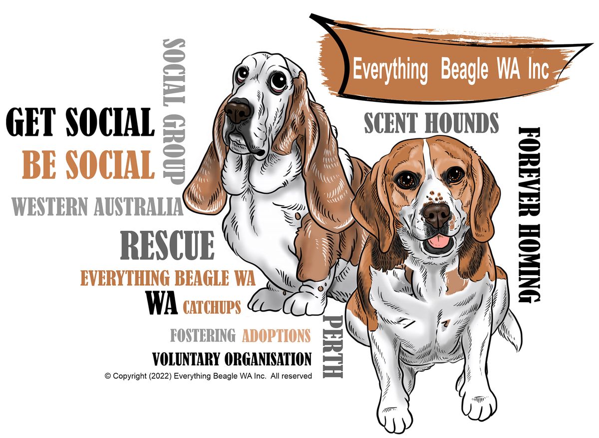 Street Appeal for Everything Beagle WA INC