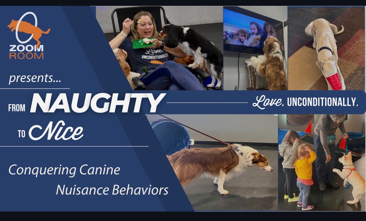 Trainer Talk: Naughty to Nice - Conquering Canine Nuisance Behaviors 