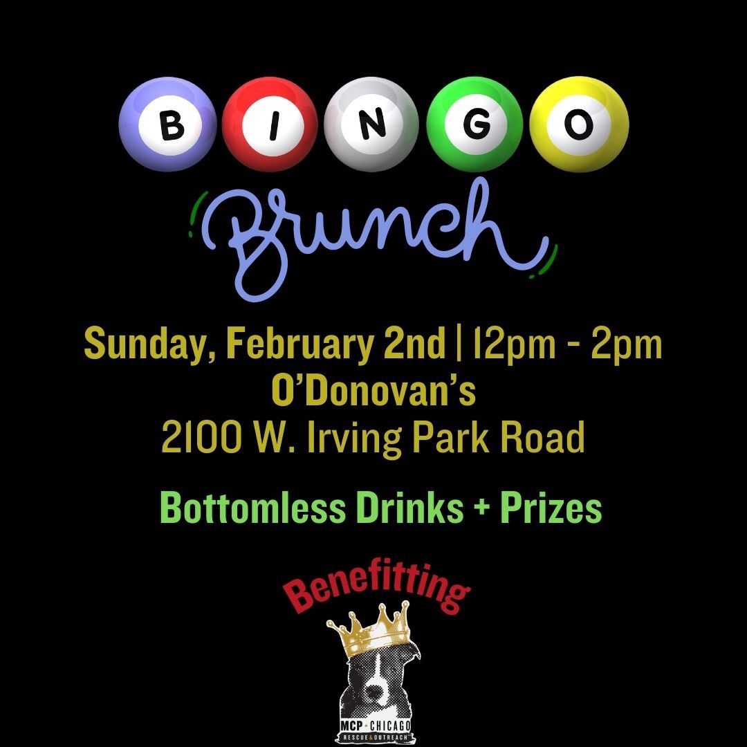 BINGO BRUNCH