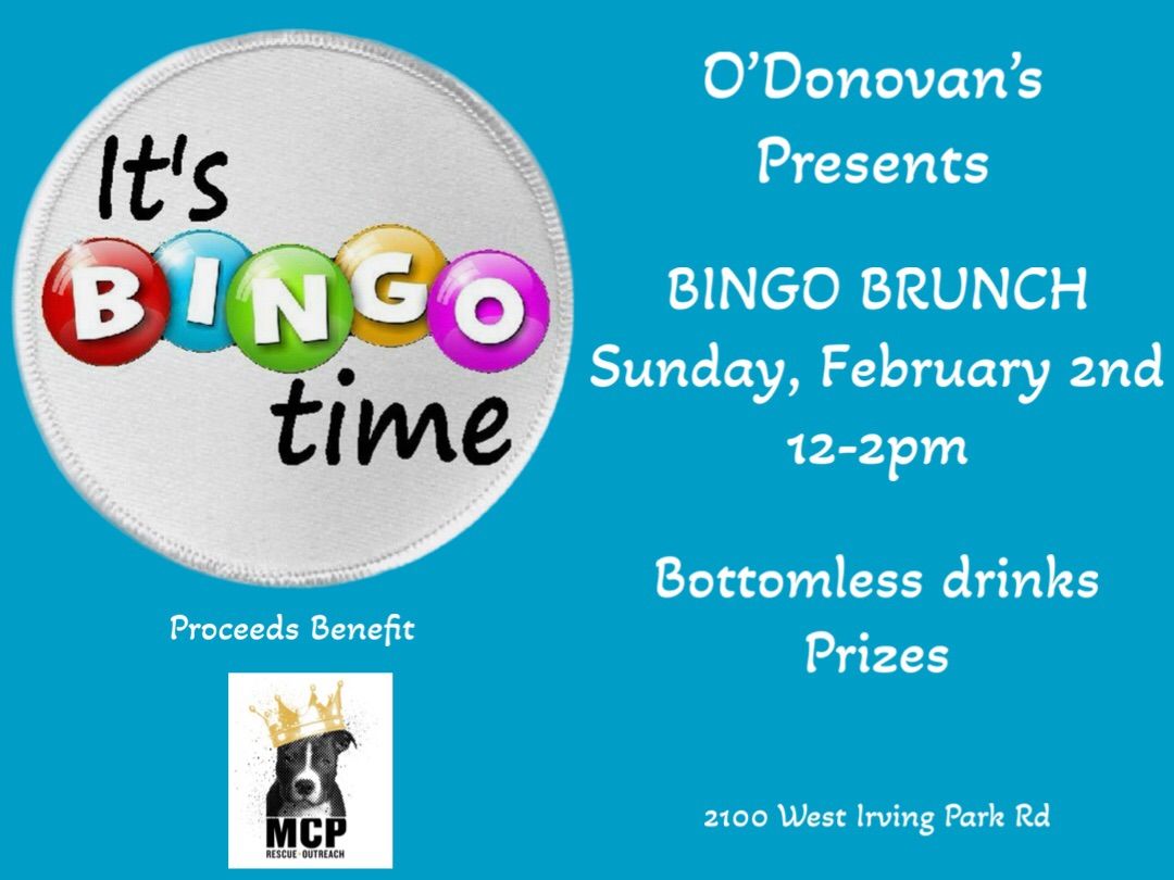 BINGO BRUNCH