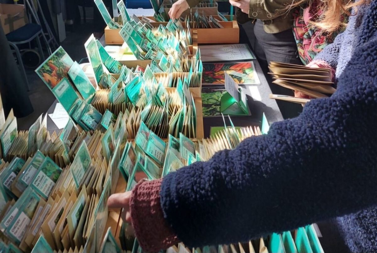 Frome Potato Day and Seed Swap