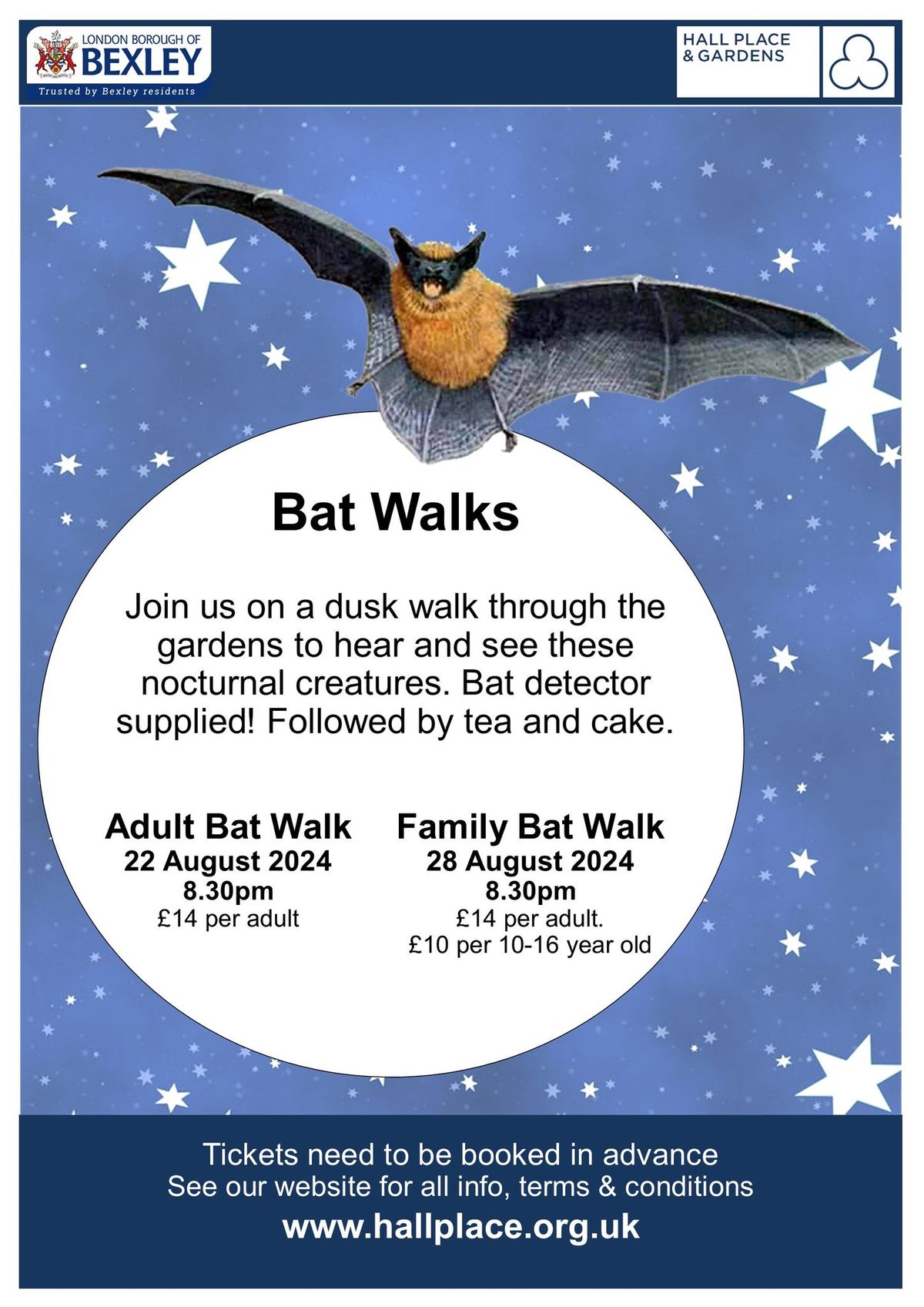 Family Bat Walk