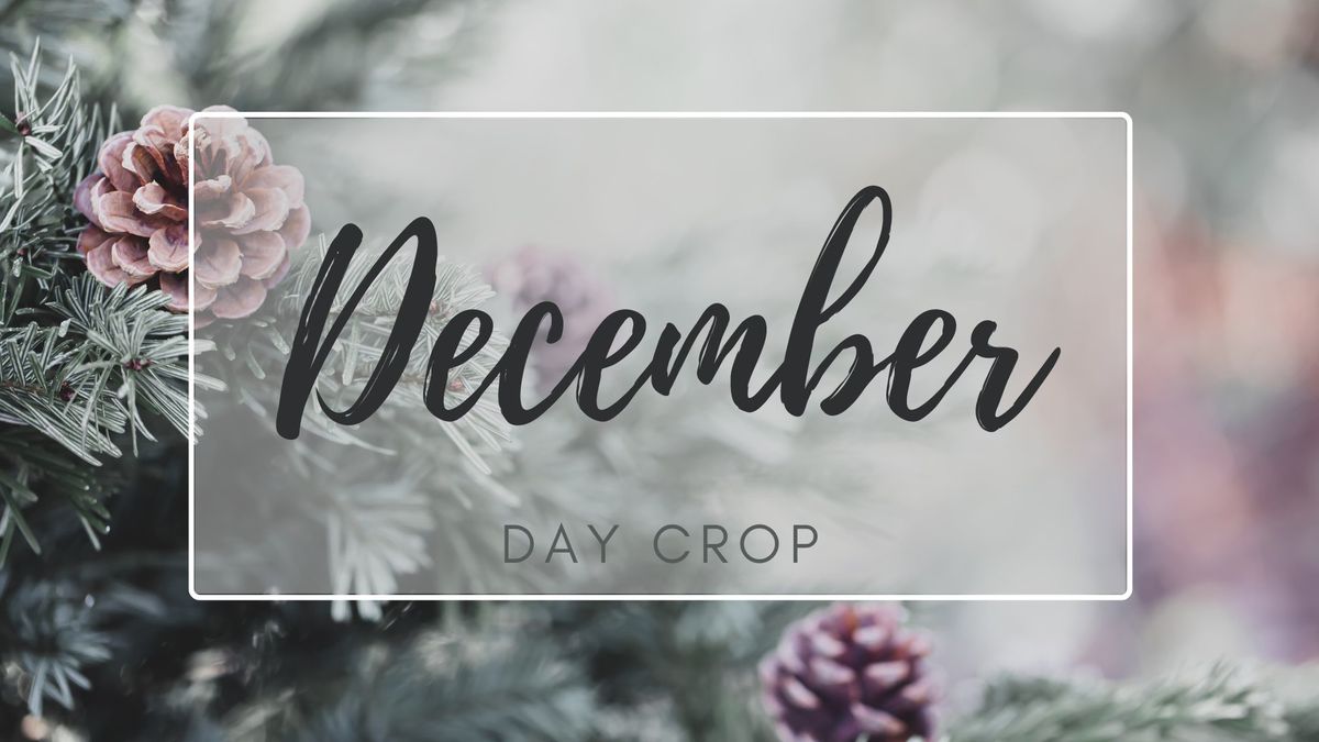 December Day Crop