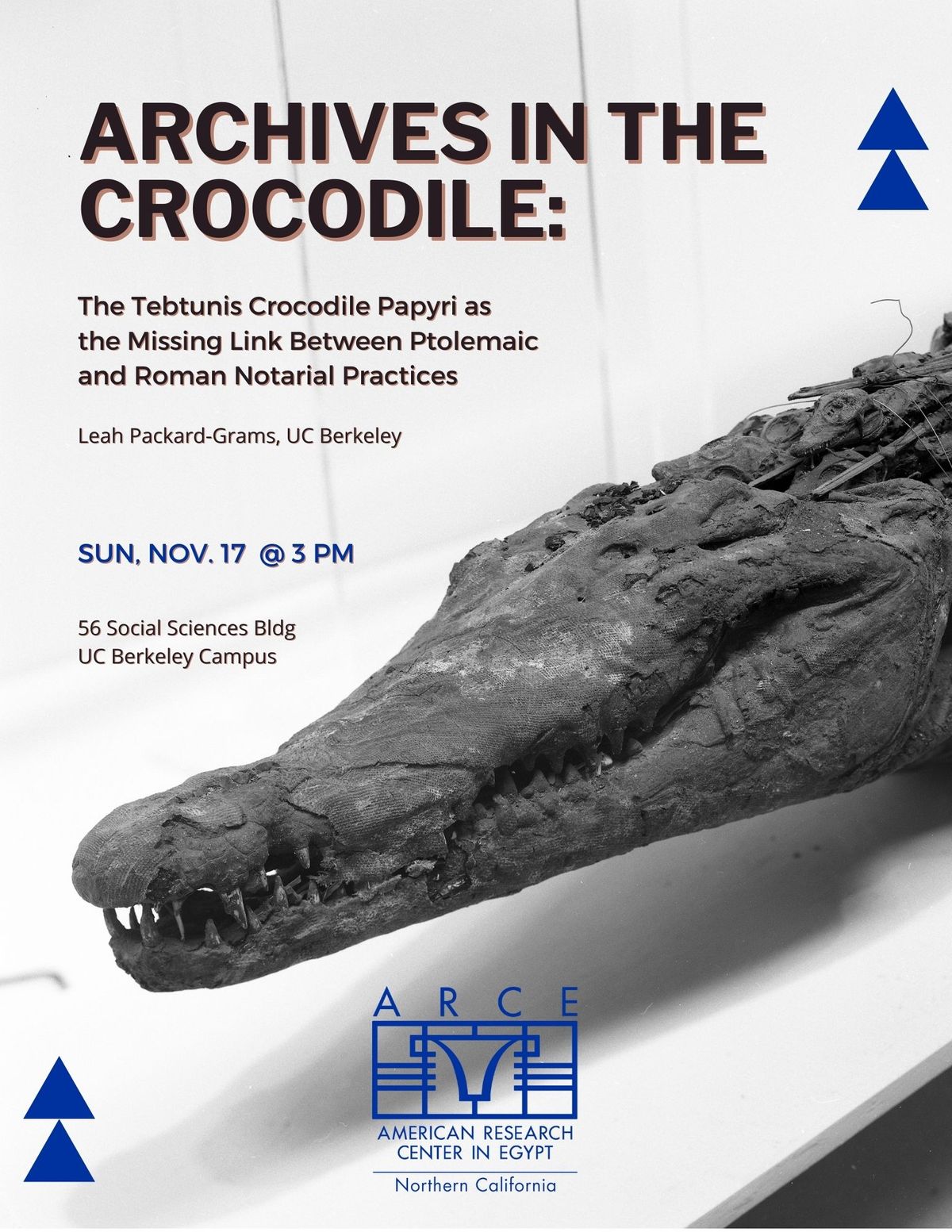 Archives in the Crocodile: The Tebtunis Crocodile Papyri