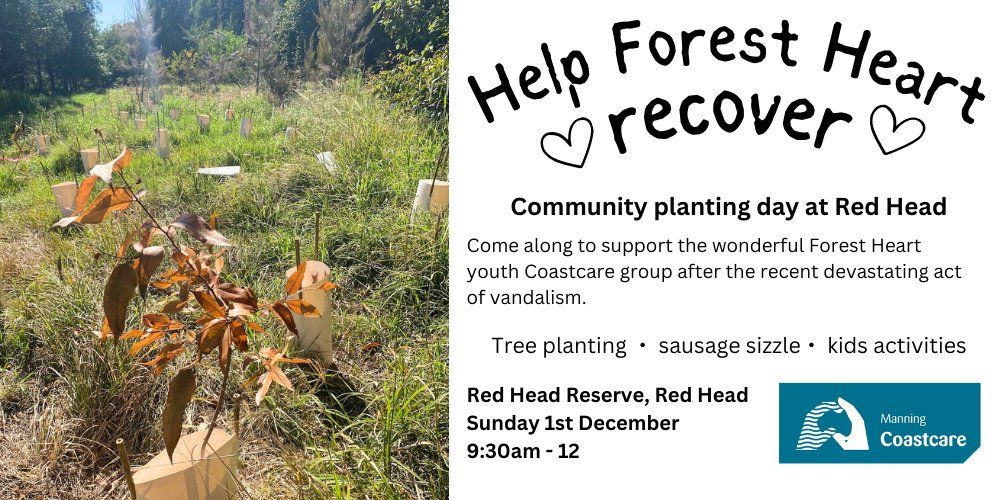 Forest Heart Community Planting Day