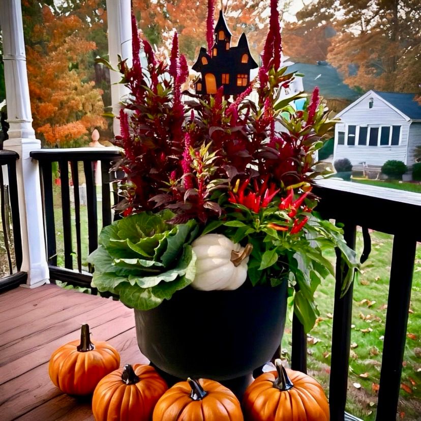 Deluxe Witches Cauldron Planter