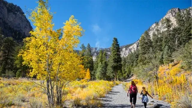 Mt Charleston Hike - Check out the Fall Colors!