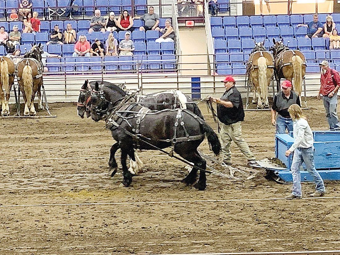 Draft Horse Pull (Other Sports)