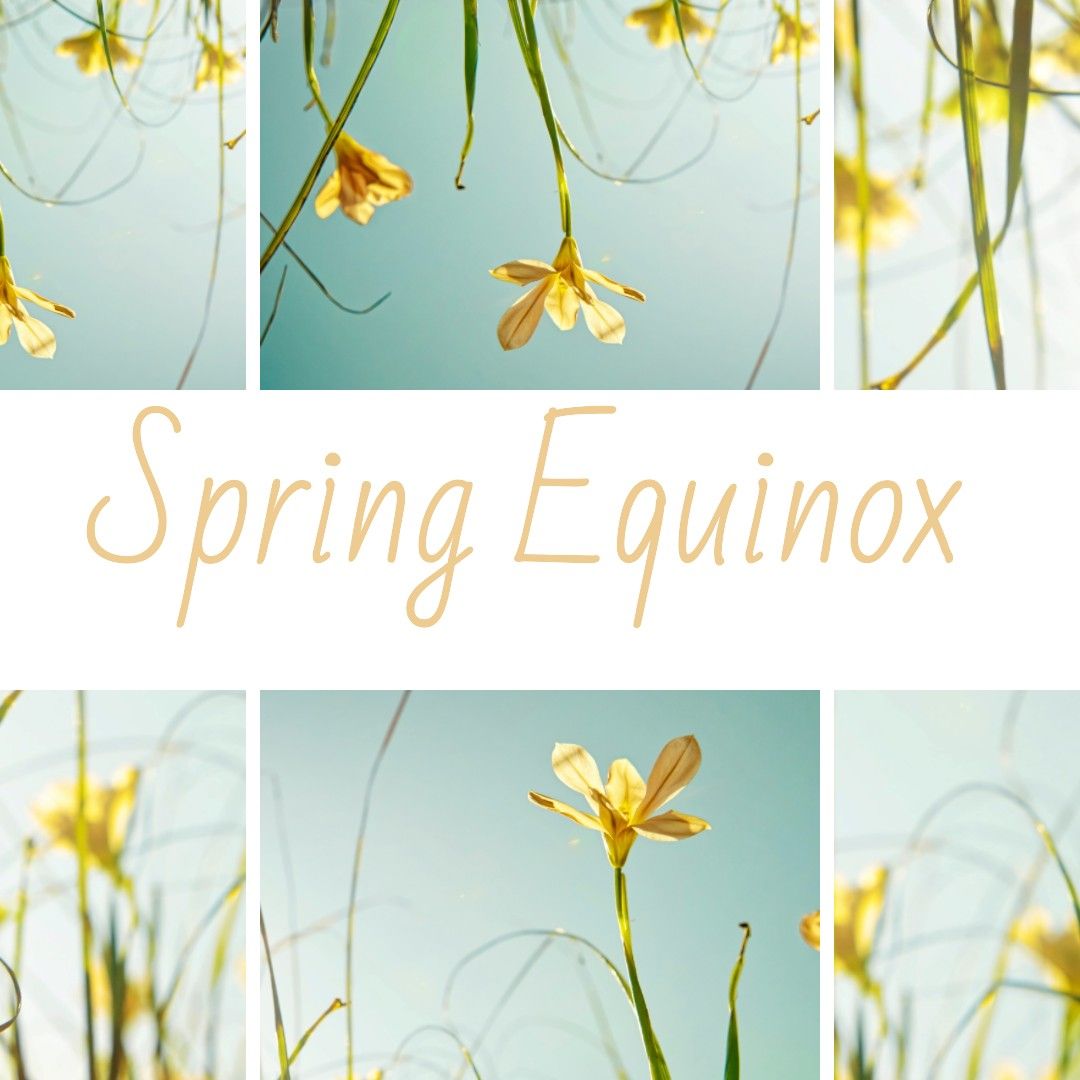 Welcome the longer sunny days with March Spring Equinox