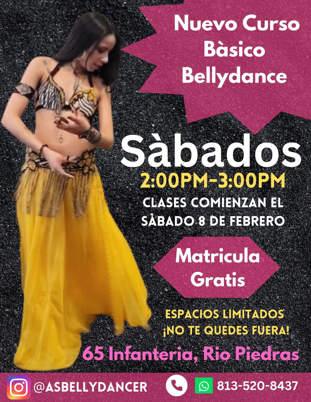 Curso B\u00e0sico De Bellydance