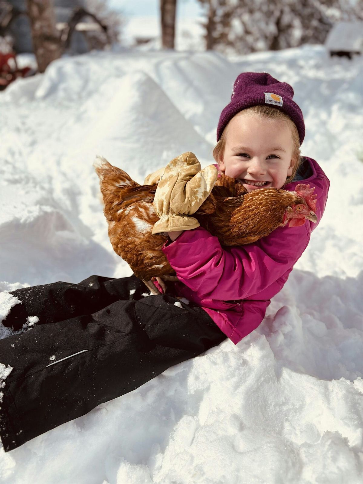 Drop in Little Farmer Parent & Me January Classes 2026 (Ages 0 -5)