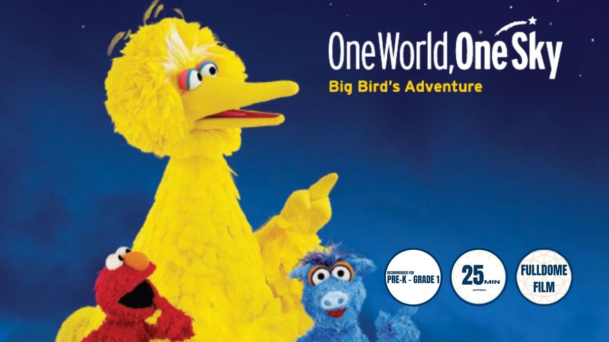 One World, One Sky: Big Bird's Adventure