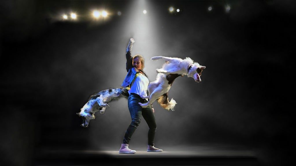 Mutts Gone Nuts - Unleashed!