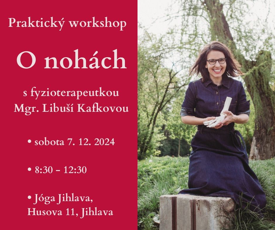 Prosincov\u00fd workshop O noh\u00e1ch