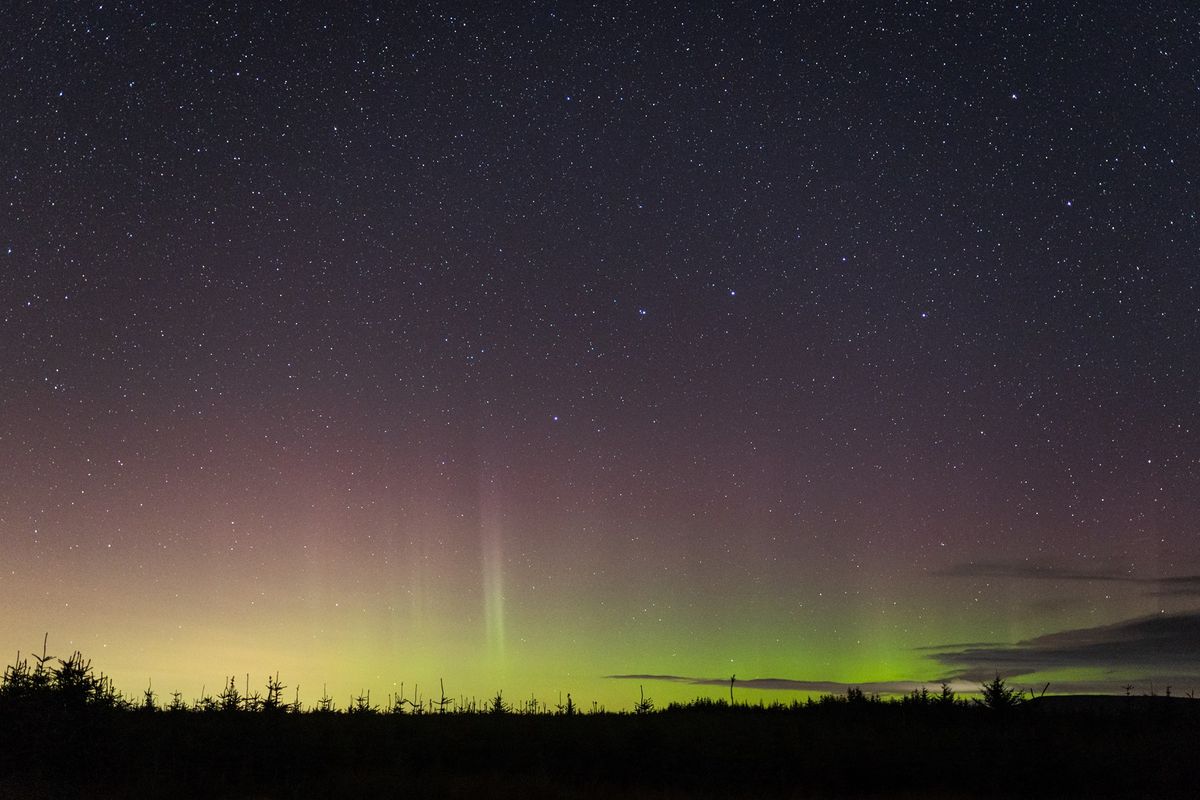 Dark Skies Run @ Kielder