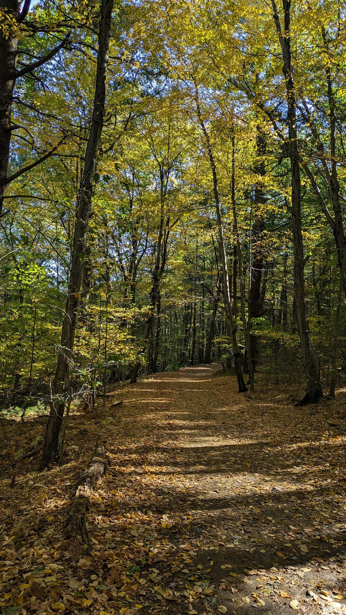 Walking the Road to Resilience: H.E.R.O. reading of Frederick Douglass