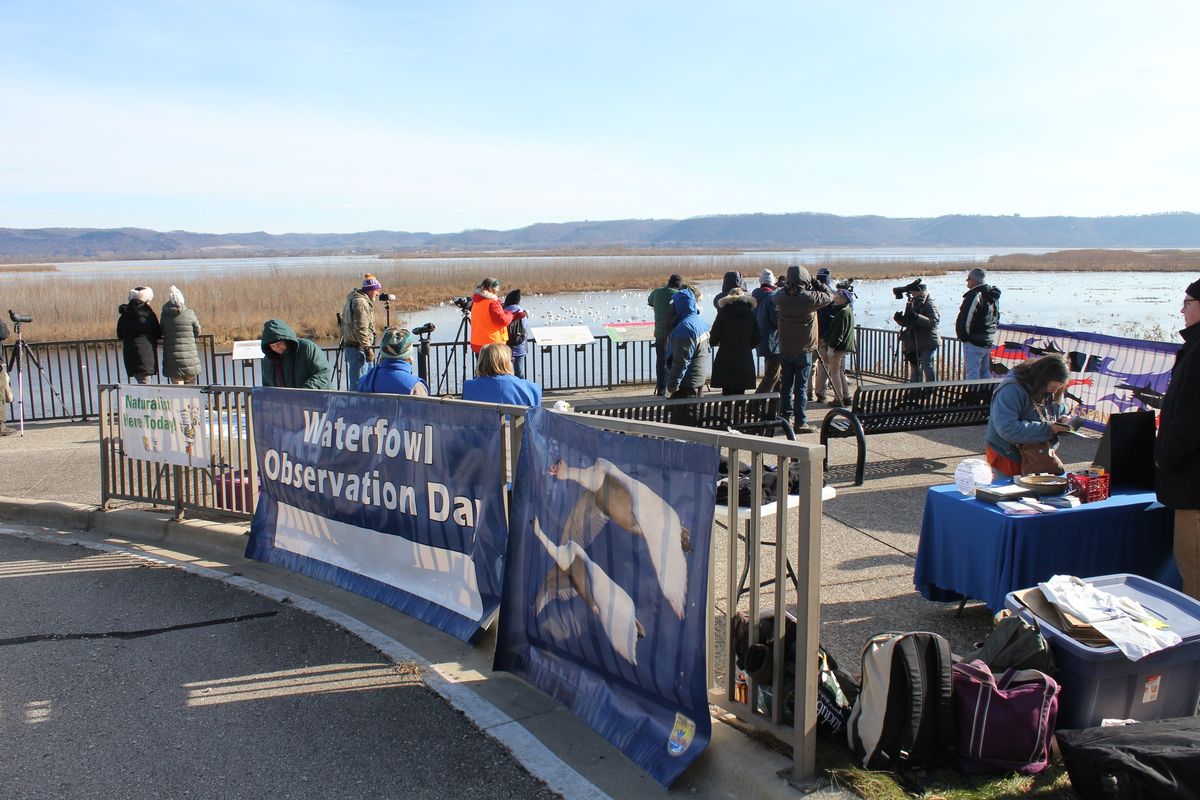 Waterfowl Observation Day 