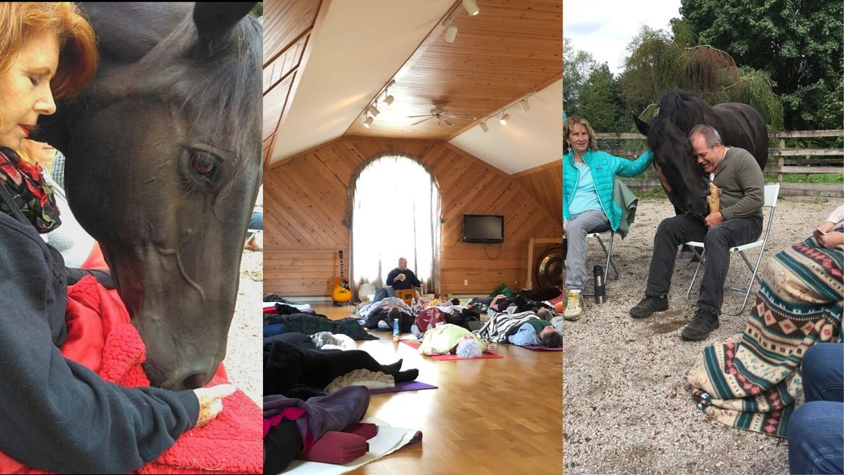 Healing with Horses, Breath, Movement, & Sound w\/Matthew Kocel at Wisteria Acres!