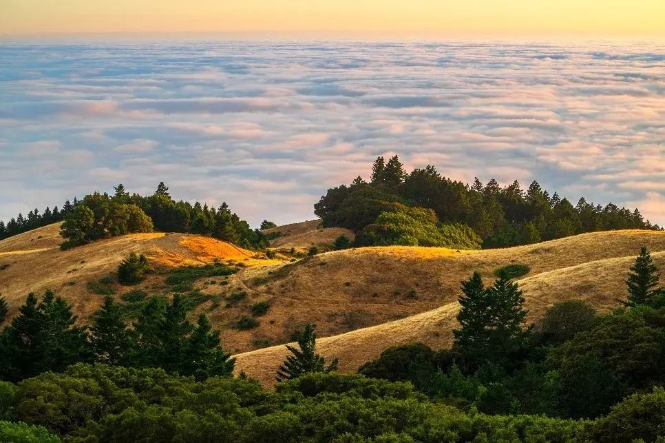 Mount Tam Ravine Campout: Best Views of the Bay!