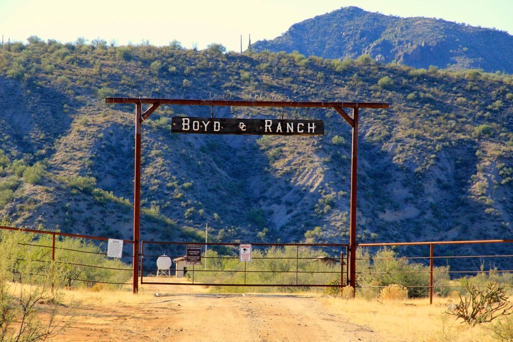 Boyd Ranch Mule Days 