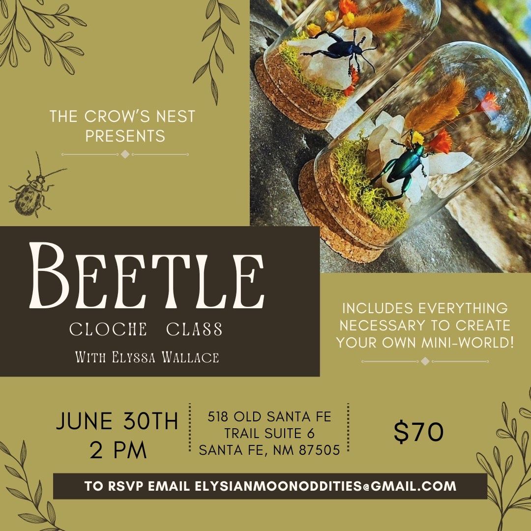Beetle Cloche Class 