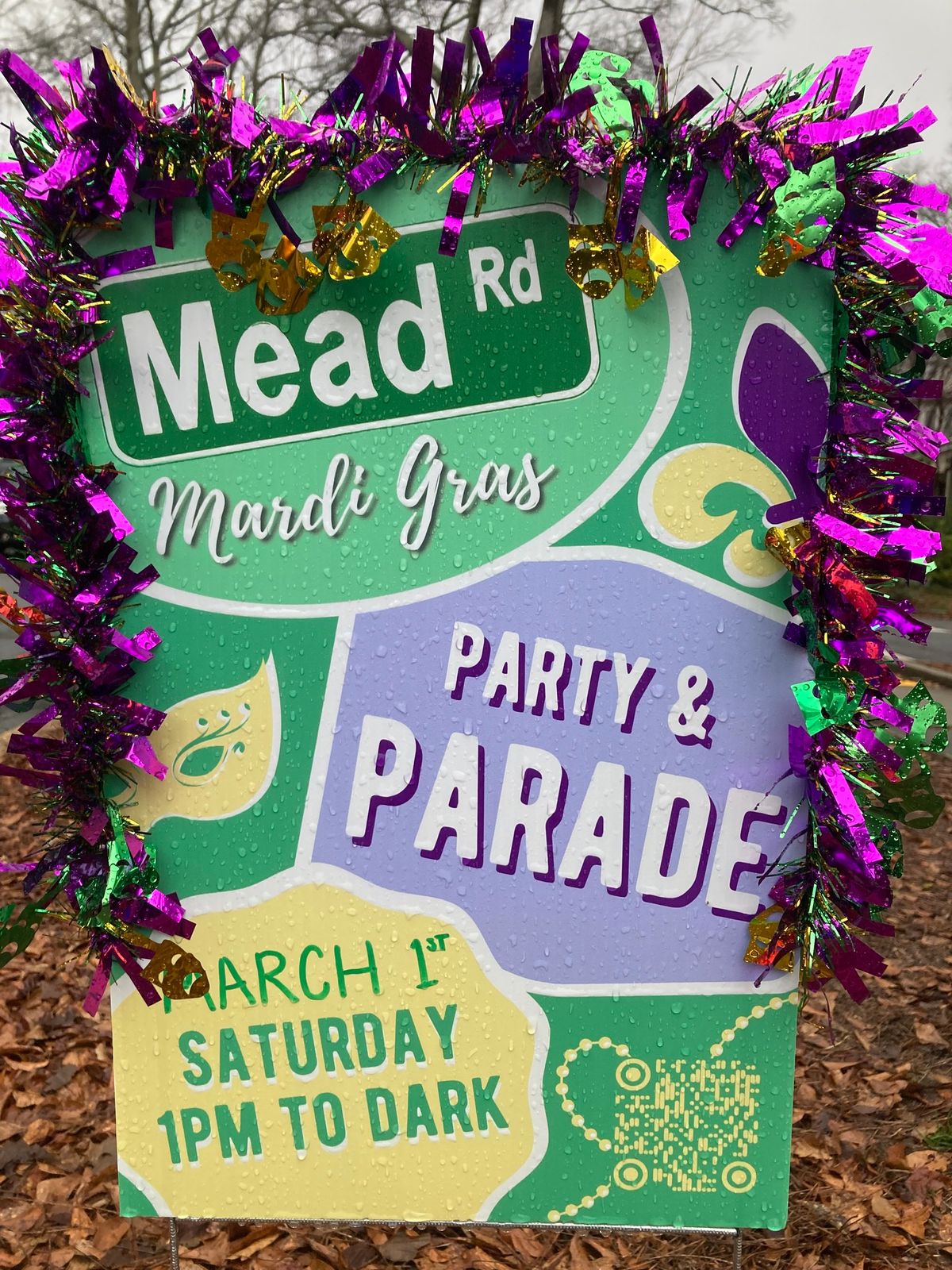 Mead Road Mardi Gras Party