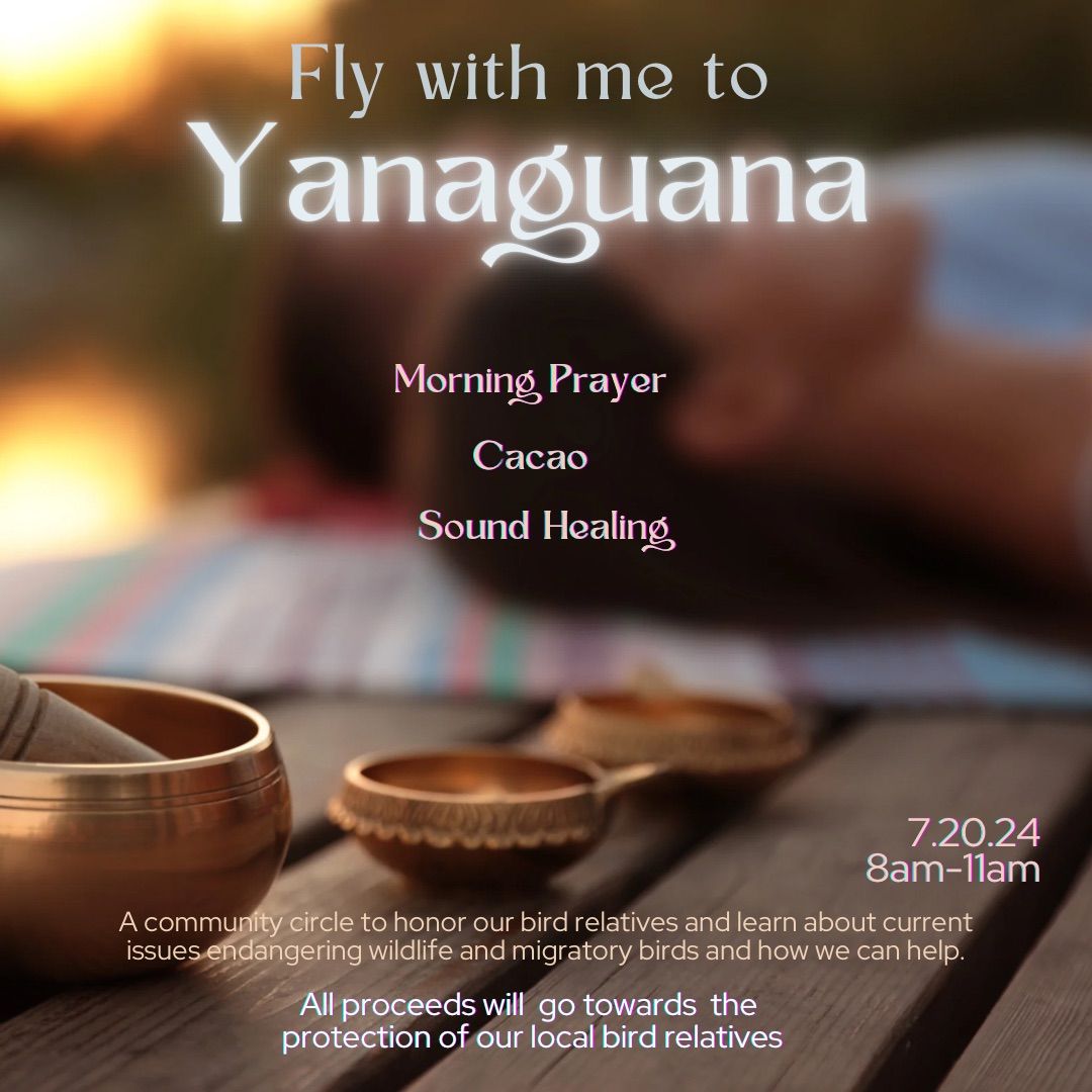 Fly with me to Yanaguana \u2728