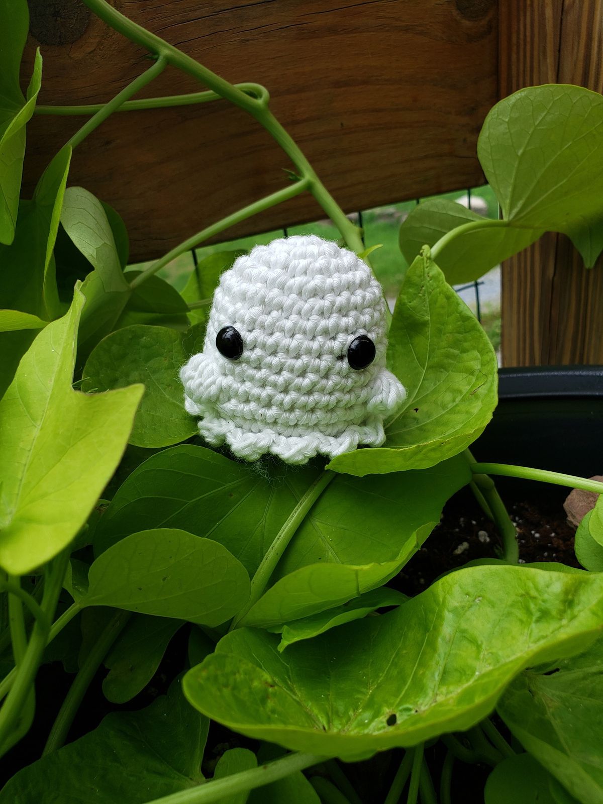 SOLD OUT!!! Make a Crochet Ghostie