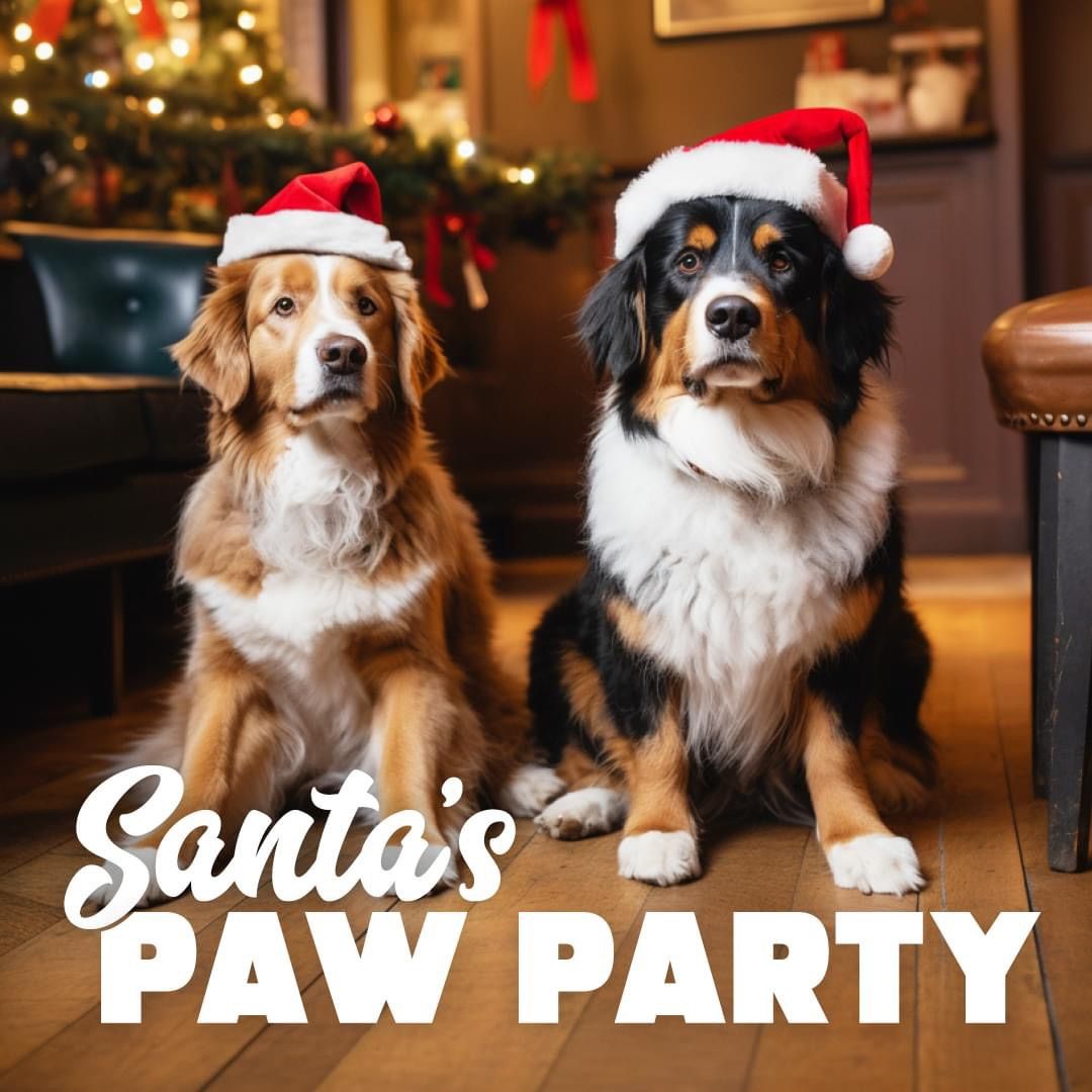 SantaPaws