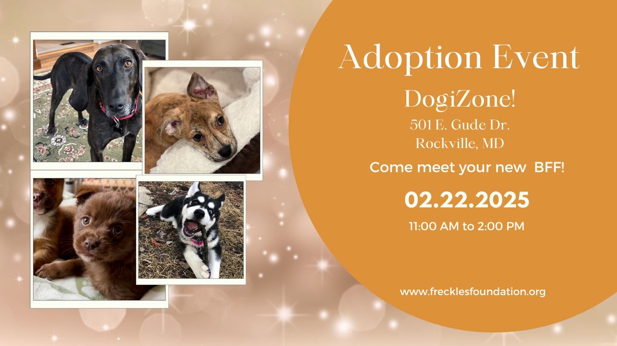 Dog Adoption Event - DogiZone! 