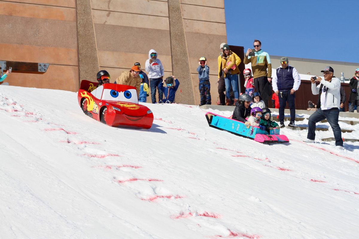 3rd Annual Cardboard Sled Derby