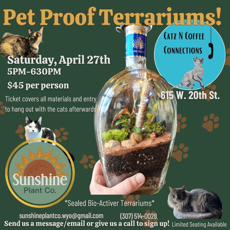 Pet Proof Terrariums @ Catz N Coffee Connections