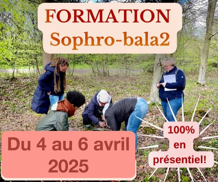 Formation Sophro-bala2