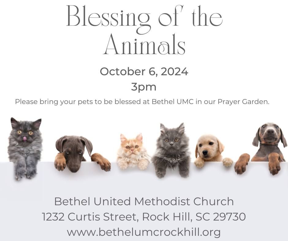 Blessing of the Animals