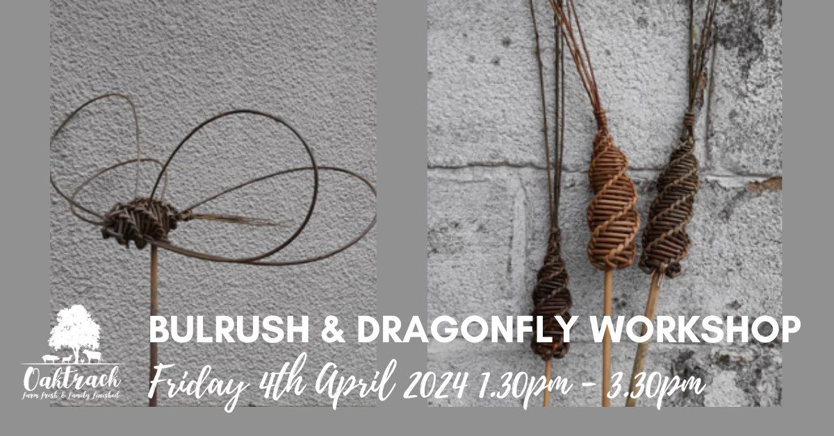 Willow Bulrush & Dragonfly Workshop