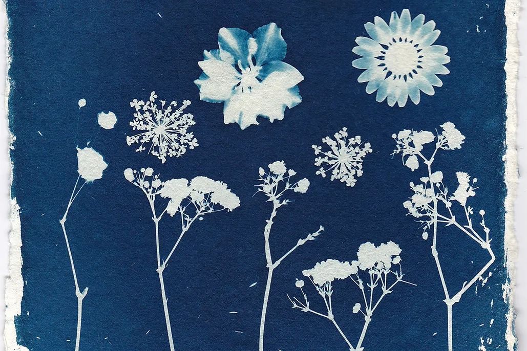 Cyanotype Workshop at Gamble Garden