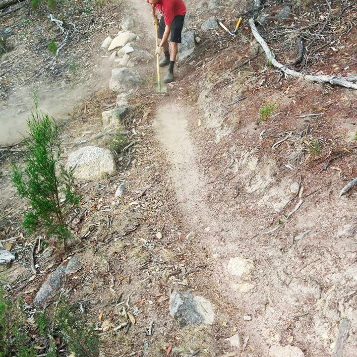 Beechworth MTB Park Working Bee
