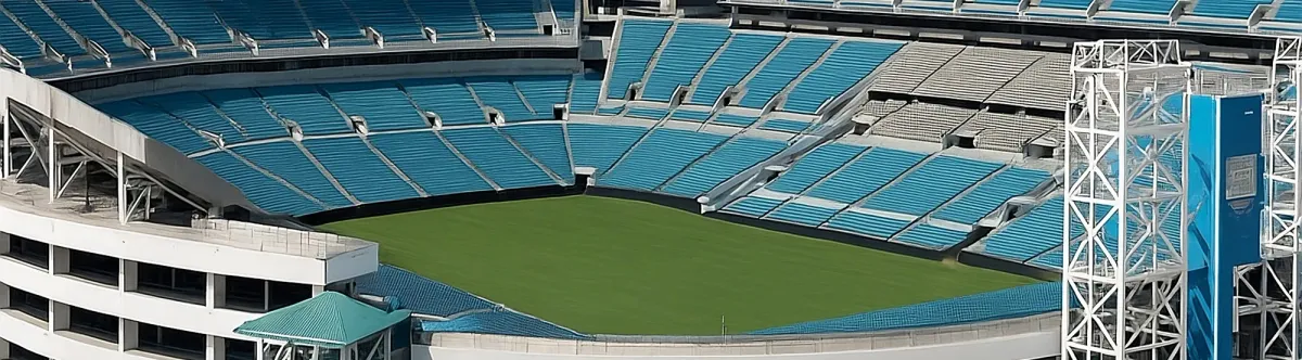 AFC Championship Game: Houston Texans vs. TBD (If Necessary)